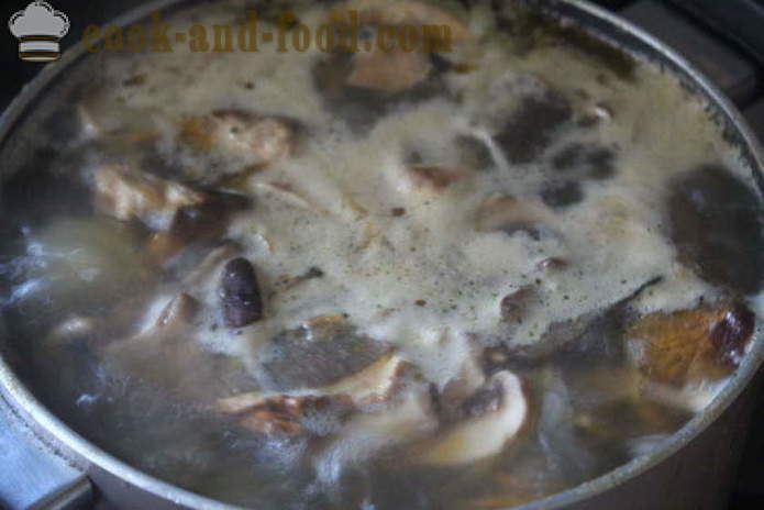 Zakarpattia soep van witte champignons - hoe soep te koken met witte champignons lekker, met een stap voor stap recept foto's