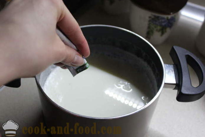 Zelfgemaakte yoghurt uit melk te gisten - hoe yoghurt thuis, stap voor stap recept foto's maken