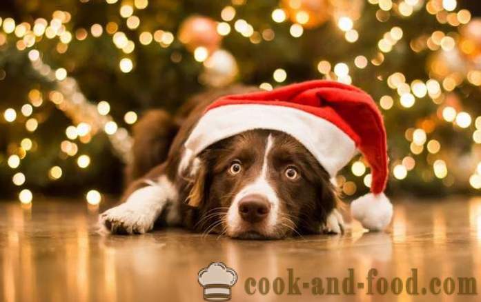 Eenvoudige ideeën New Year's decoraties op het jaar van de Gele Aarde Honden die op het oostelijke kalender, met foto's