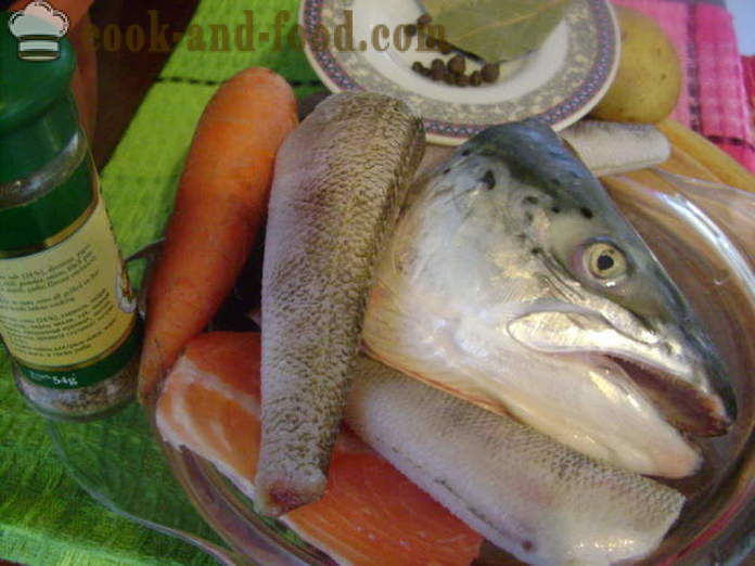 Oor van de kop van de vis en andere verschillende soorten vis - hoe soep van vis hoofden, een stap voor stap recept foto's te koken