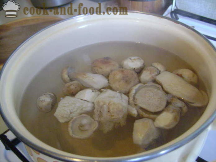 Heerlijke champignonsoep uit de bevroren witte champignons - hoe soep te koken van de bevroren witte champignons, een stap voor stap recept foto's