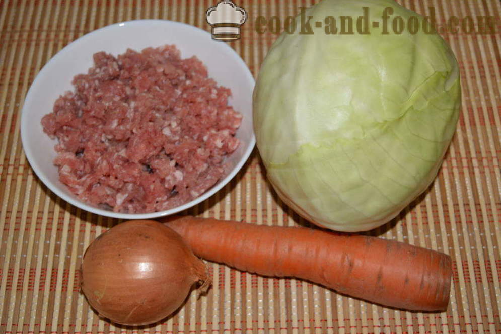 Gestoofde kool met gehakt vlees op skovorode- hoe je een heerlijke stoofpot van kok kool met gehakt, een stap voor stap recept foto's
