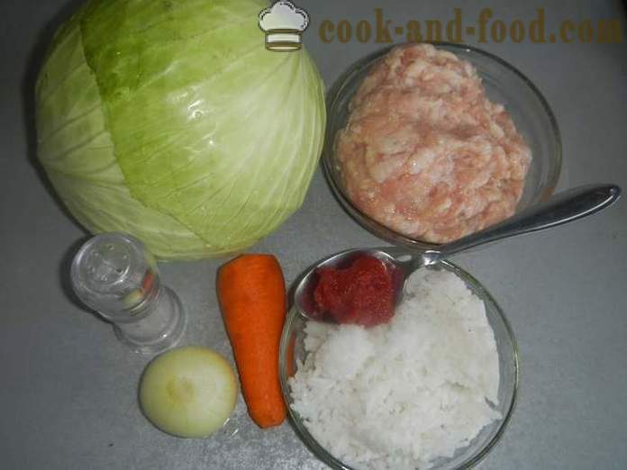 Heerlijke gevuld met gehakt, rijst en tomatensaus - hoe kool rollen in multivarka, stap koken voor stap recept met foto's.
