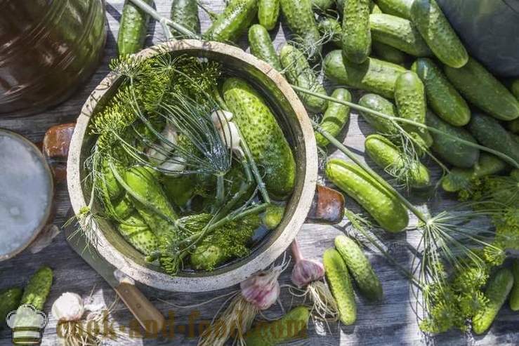 Gezouten komkommers 5 beproefde recepten